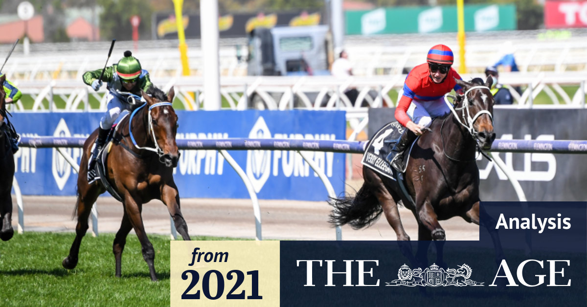 Does whipping hurt Melbourne Cup race horses?